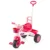 Prima mea tricicleta cu maner si claxon, Princess