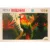 Puzzle Luxury, Witty Puzzlezz, Papagal, 100 piese