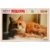 Puzzle Luxury, Witty Puzzlezz, Portret pisica, 100 piese