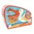 Puzzle Scratch, Pelican, 24 piese