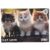 Puzzle Witty Puzzlezz, Cat Love, 35 piese