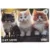 Puzzle Witty Puzzlezz, Cat Love, 35 piese
