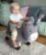 Ride-On animal toy magarusul Bojangles pentru copii Little Bird Told Me cu roti multidirecionale, scaun stilizat din imitaie de piele artificiala, cadru din lemn masiv, de la 12 luni pana la 20 kg