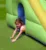 Saltea Gonflabila Happy Hop Play Center 6 in 1