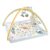 Saltea cu activitati senzoriale, Fisher Price, HRB15