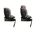 Scaun auto Cosatto Come and go 2 Lollop, I-Size, Testat ADAC, Rotatie 360, SIPS, Isofix, Tetiera reglabila