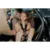 Scaun auto Lionelo Harmony i-Size rotire 360 grade 0-36 kg 40-150 cm cu isofix gri deschis