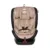 Scaun auto, Lorelli Ares, Isofix, i-Size, rotativ 360 grade, 40-150 cm, 0 luni-12 ani, Beige