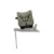 Scaun auto rotativ i-Size TODL next Pine 40-105 cm testat ADAC