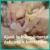 Servetele umede Pampers Hygiene on the go, 1 pachet 40 buc