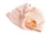Set Swaddle si suport de prindere baveta eKoala orange