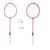 Set de badminton Donnay cu fileu si 2 rachete
