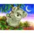 Set de creatie mozaic Diamond dotz Koala Snack