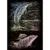 Set gravura mica pe folie holografica Royal Delfinul Jucaus 13×18 cm