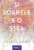 Si soarele e o stea, Nicola Yoon