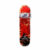 Skateboard Rising Sports Xtreme, 80 cm, Love