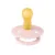 Suzeta Bibs Colour Latex tetina rotunda 6 luni + Blossom