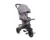 Tricicleta cu sezut reversibil Carlitto Grey Melange