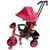 Tricicleta pentru copii Baby Mix Lux Trike Pink multifunctionala, cu sunete, lumini, spatar reglabil, centura de siguranta, suport picioare si copertina