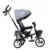Tricicleta pentru copii Bebe Royal Milano Gri cu sezut reversibil, roti din spuma Eva, suport pentru picioare, spatar reglabil si functia free wheel