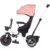 Tricicleta pentru copii Chipolino Pegas Blush cu sezut reversibil, spatar reglabil, suport pentru picioare, cos de depozitare, frana pe rotile din spate de la 1 an pana la 25 kg