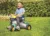 Tricicleta pentru copii Dolu My 1st trike cu pedale, claxon si cosulet pentru accesorii de la varsta de 2 ani si pana la 30 kg