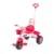 Tricicleta pentru copii Guclu Toys Princess cu claxon si control parental , cosulet pentru accesorii si plastic de inalta calitate de la 3 ani