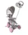 Tricicleta pentru copii Lorelli Lucky Crew Grey Pink multifunctionala, sezut rotativ, control al directiei, 2 tipuri de suport pentru picioare, dispozitiv de franare si scaunel cu husa moale