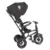 Tricicleta pentru copii Qplay Rito Rubber Negru cu roti din cauciuc, pliabila, maner telescopic, sistem roata libera si greutate maxim suportata 25 kg