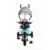 Tricicleta pentru copii Sun Baby 017 Fresh Turquoise Grey cu sezut reversibil 360, control al directiei, roti din spuma eva, suport pentru picioare pliabil