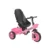Tricicleta pentru copii Voyage Pink cu sezut reversibil, spatar reglabil pe 2 pozitii, maner cu control al directiei, cosulet pentru accesorii, 2 tipuri de suporti pentru picioare si roti mari din cauciuc Eva