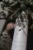 Ulei de masaj Skinhaptics 100 ml