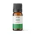 Ulei esential de busuioc Wooden Spoon bio 5ml