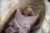 Wrap Babyhorn pentru nou nascut rose Sleepee